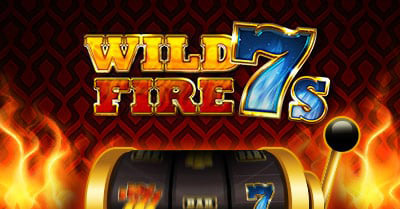 24 Bettle wild fire 7